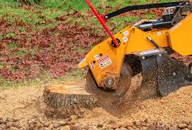 Best Tree Disease Treatment  in Home Garden, CA