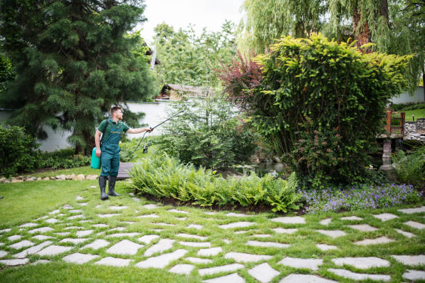 Best Tree Removal  in Home Garden, CA