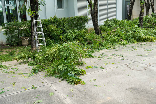 Best Lawn Drainage Solutions  in Home Garden, CA