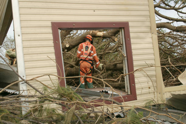 Best Leaf Removal  in Home Garden, CA